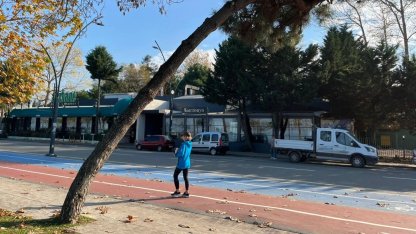 Ordu’da tehlike arz eden ağaçlar için güvenlik çalışması