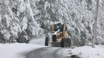 Sakarya'da kar alarmı