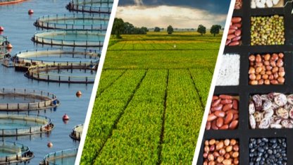 255 milyon lira çiftçilerin hesabında