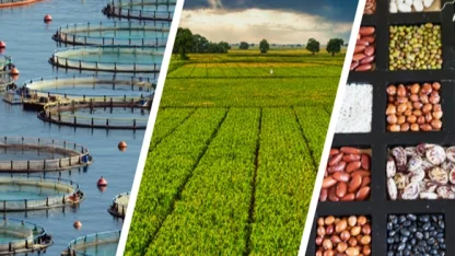 255 milyon lira çiftçilerin hesabında