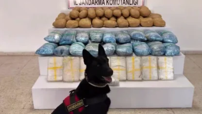 63 ilde 1 tonu aşkın uyuşturucu ele geçirildi