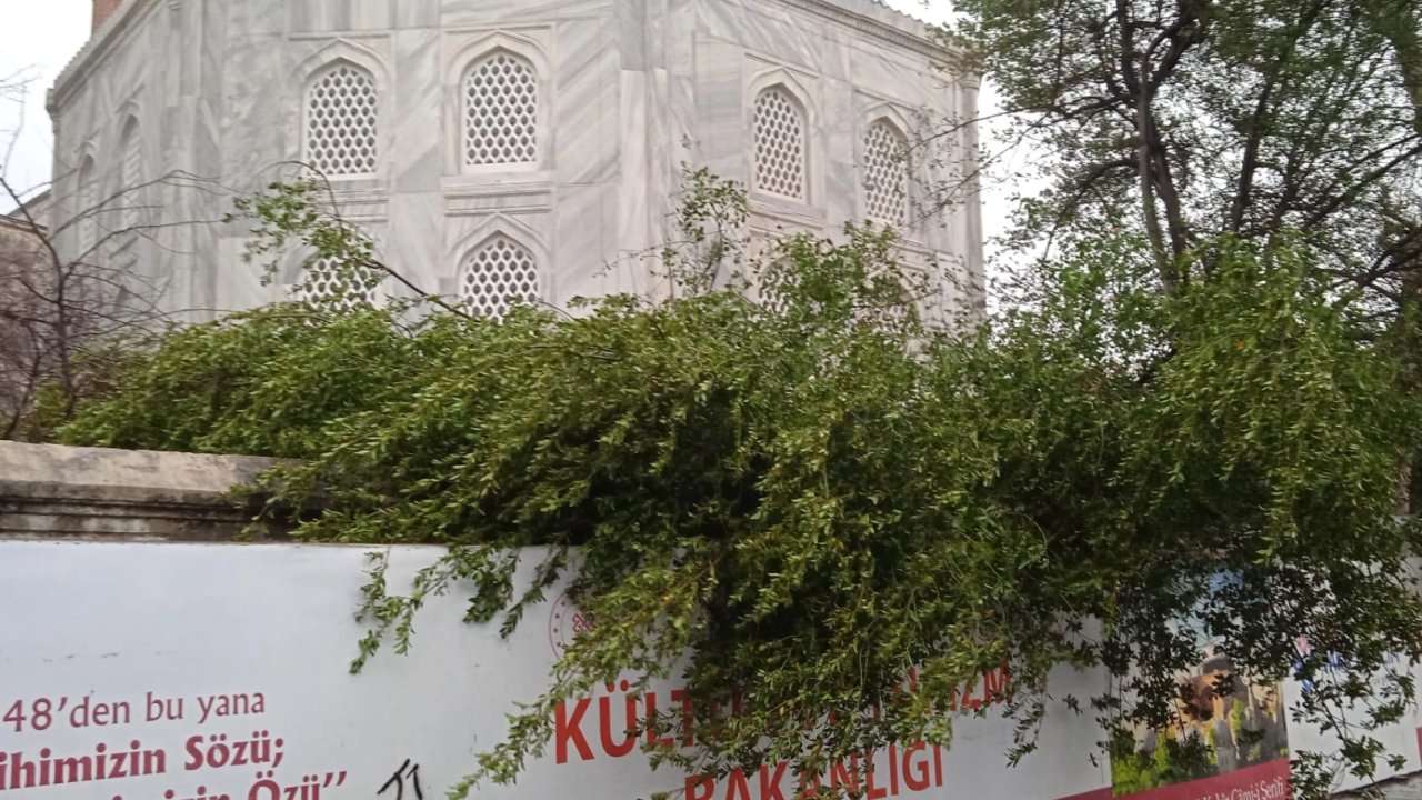 Ayasofya Camii'nde minare alem düştü! Bahçedeki ağaç kontrol altında