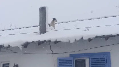 Bilecik Pazaryeri'nde kar altında kurtarma operasyonu