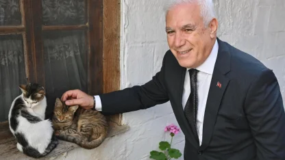 Bursa Büyükşehir patili dostların yanında