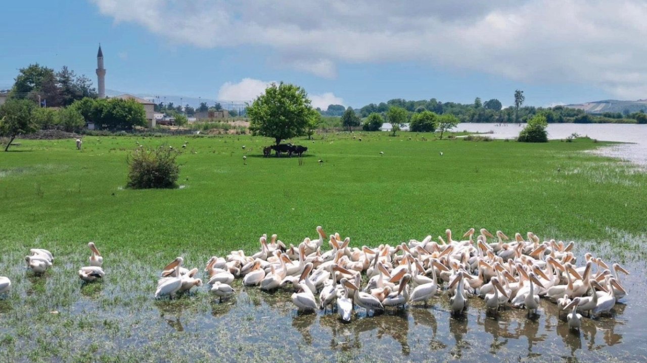 Bursa İnegöl Hamzabey’de doğa ile tarih buluşuyor