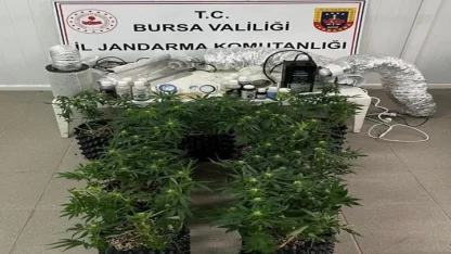 Bursa İnegöl’de evde esrar üretimine Jandarma baskını