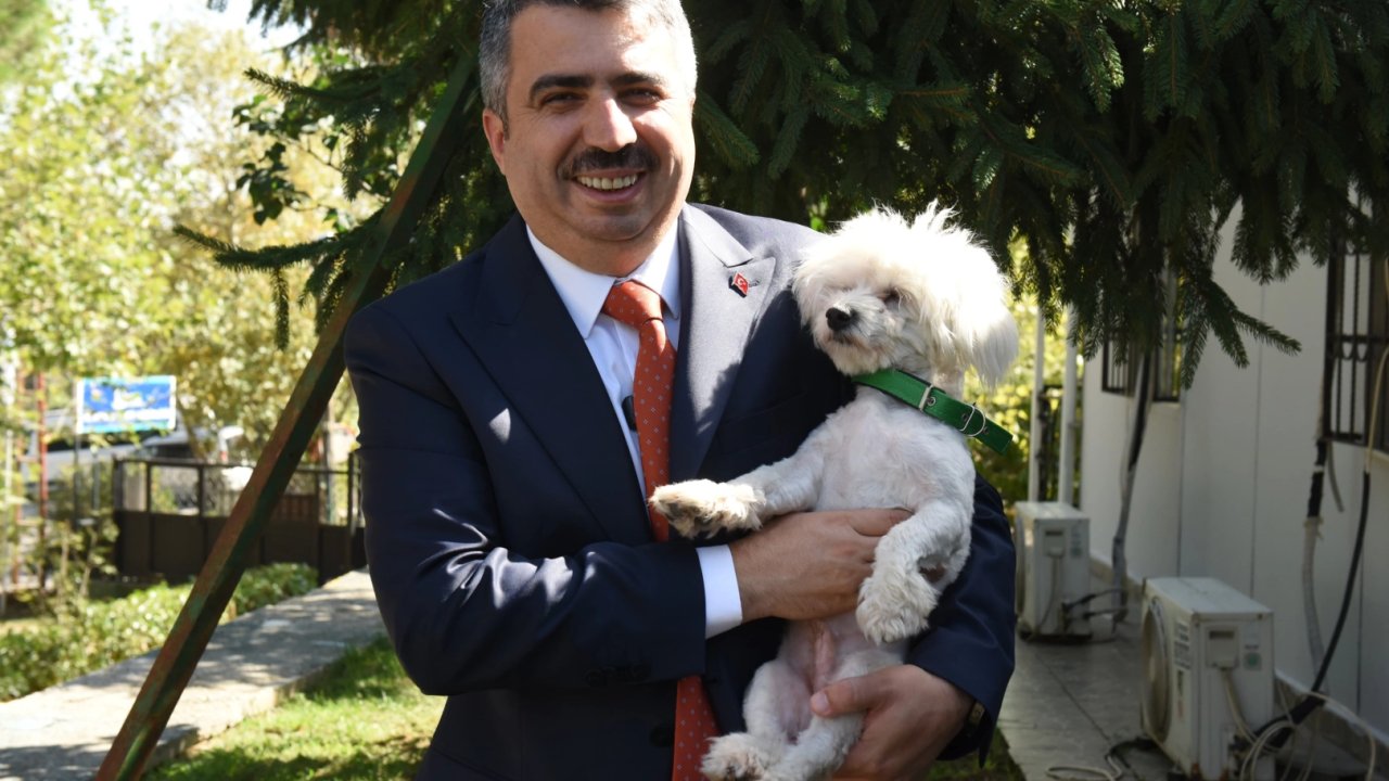 Bursa Yıldırım can dostlarak 2025'te de sıcak yuva oldu