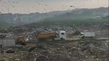 Bursa'daki katı atık alanına 1,8 milyon TL ceza!