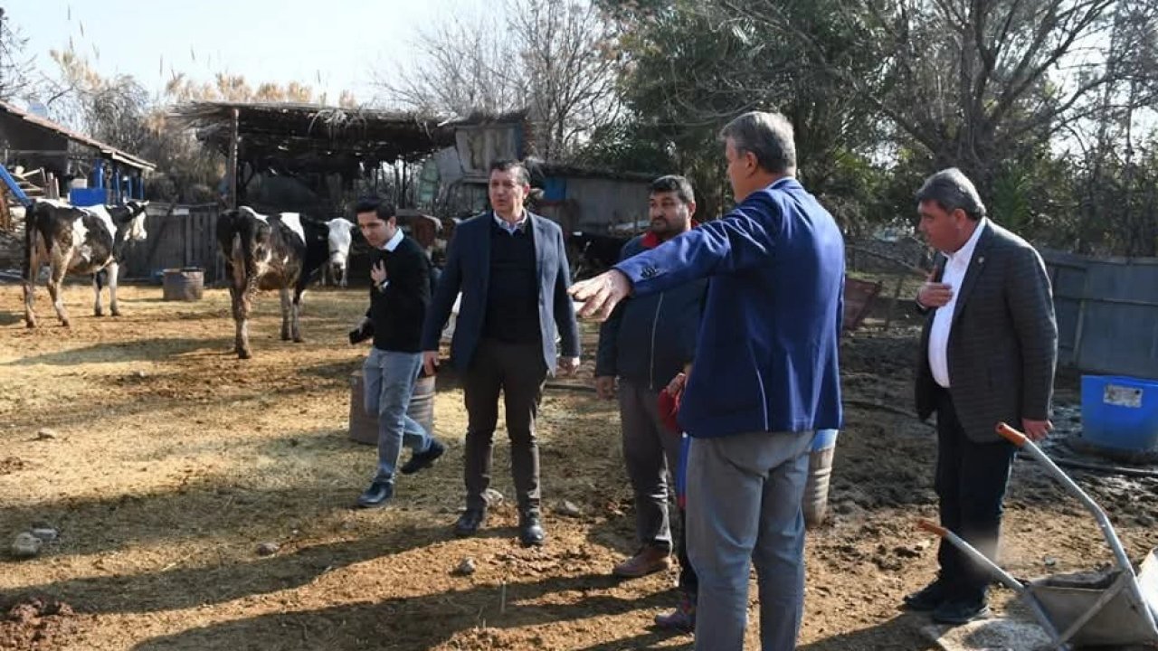 CHP'li Gaytancıoğlu'ndan et ithalatına sert eleştiri