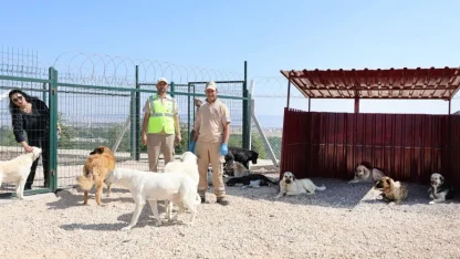 Eskişehir’de doğaya ve can dostlara tam destek