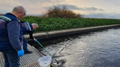 Gediz'de çevre kıyımına geçit yok!