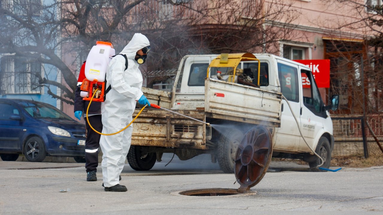 Haşerelere karşı etkin mücadele