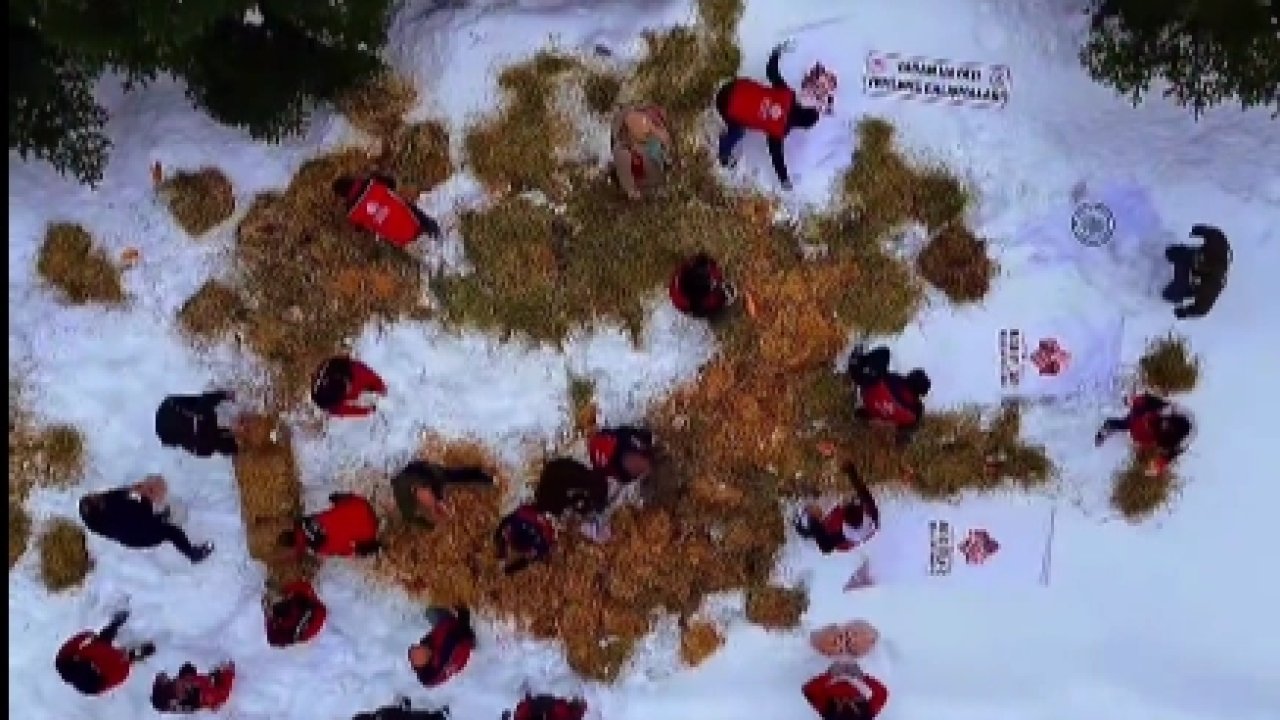 Ilgaz Dağı’na yüzlerce kilo yem bırakıldı