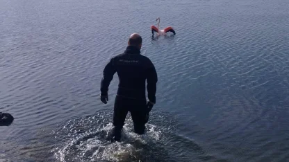 İzmir'de flamingoya dalgıçlardan hayat veren kurtarma
