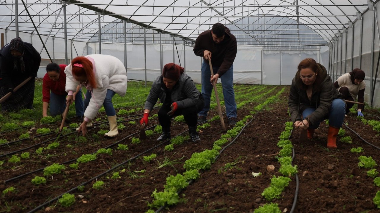 Kadın ve gençler tarıma kazandırılıyor