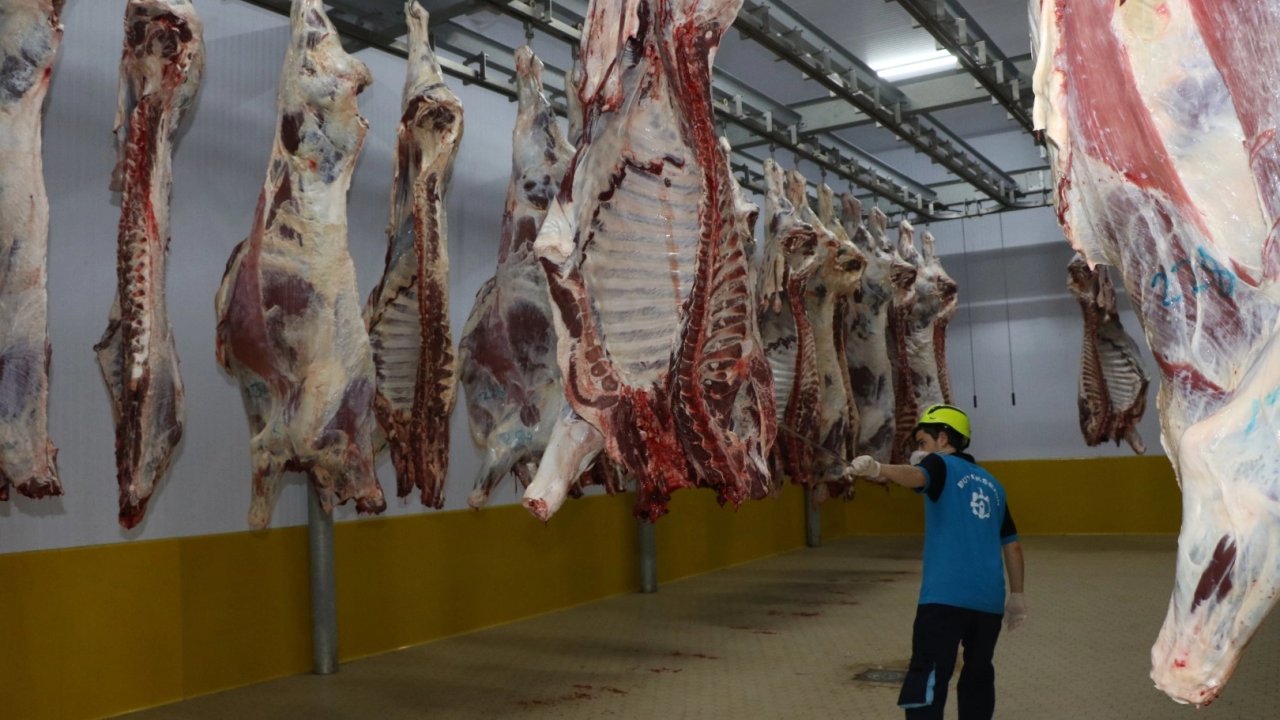 Kasapların tercihi Kocaeli Mezbahası