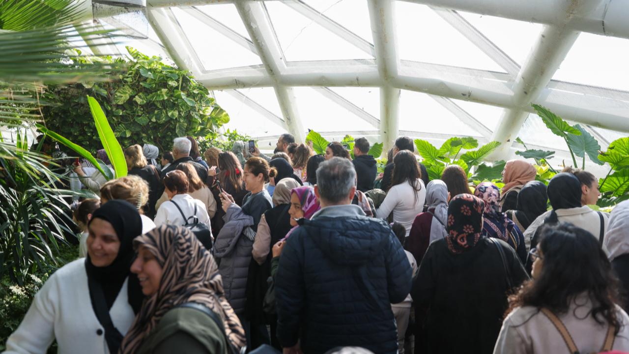 Kelebekler bahçesine rekor ziyaretçi