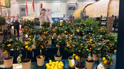 Kestel’in yeşil gücü Almanya’da görücüye çıktı