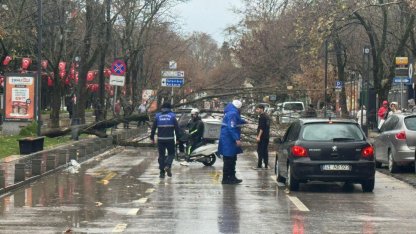 Kocaeli Büyükşehir'de lodos müdahalesi