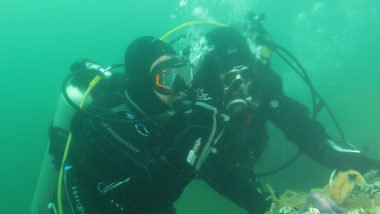 Kocaeli'de İzmit Körfezi artık nefes alıyor