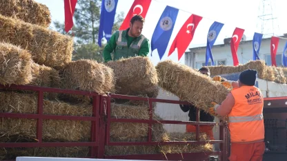 Milas’ta üreticilere yem ve saman desteğine devam