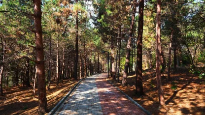 Sakarya'da Sapanca Gölü'nde huzur dolu yaşam alanı açıldı