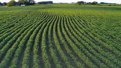 TAKE ile tarım arazileri daha verimli kullanılıyor