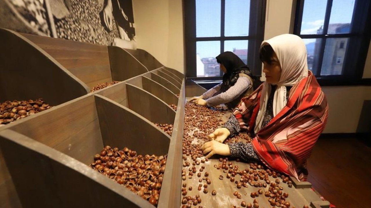 Türkiye’nin ilk fındık müzesi yoğun ilgi görüyor