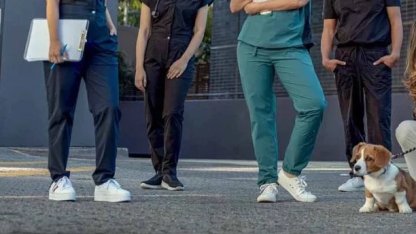 Veteriner Hekim-Sen’den hukuki zafer... Koruyucu giyim yardımı davası kazanıldı