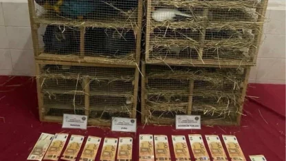 2025'te kaçak canlı hayvan ticareti darbe yedi... 85 bin 342 hayvan ele geçirildi