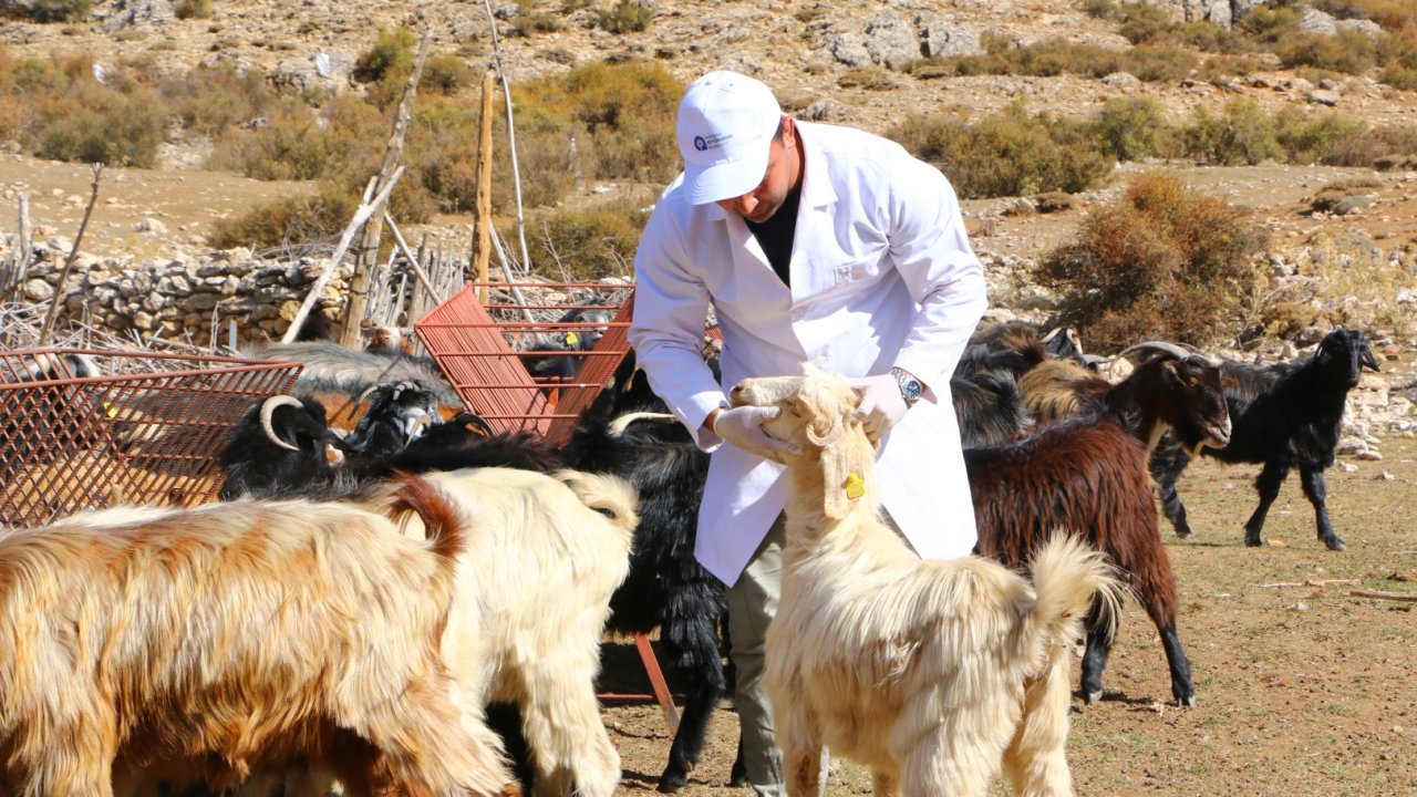 Antalya’da 'Çoban Haritası Projesi' büyüyerek devam ediyor