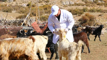 Antalya’da 'Çoban Haritası Projesi' büyüyerek devam ediyor