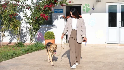 Antalya’da “Satın alma, sahiplen” çağrısı