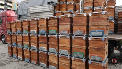 Bursa Büyükşehir'den arıcılara kovan desteği