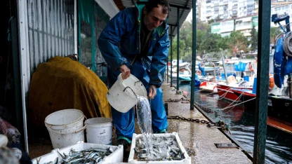 Bursa'da yüzde 100 hibeli mazot desteğine yoğun ilgi