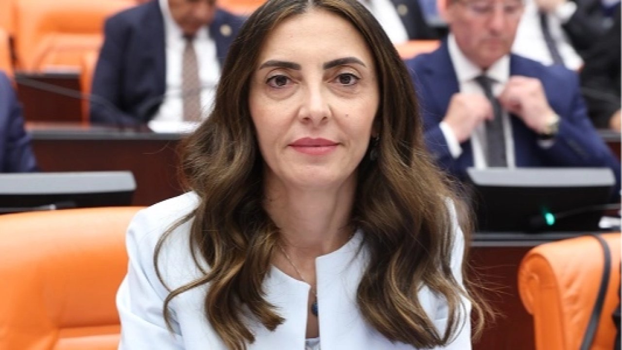 CHP’li Altaca Kayışoğlu'ndan 'alt komisyon' çağrısı