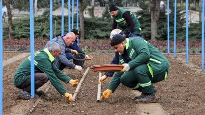 DBB kendi gülünü üretiyor, bu yıl hedef 25 bin fidan