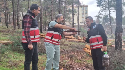 Hatay’da mücbir ağaç kesimlerine 'Tabiatı Koruma'dan açıklama