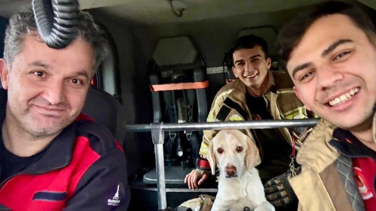 İzmir İtfaiyesi tüm canlıların imdadına yetişiyor