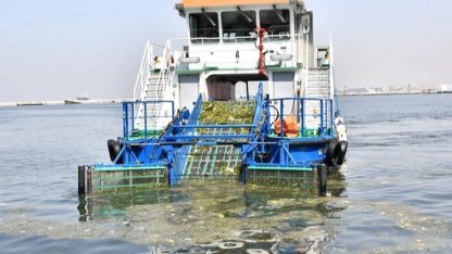 İzmir körfezinde kirlilik alarmı! İzmir Büyükşehir seyirci mi kalıyor?