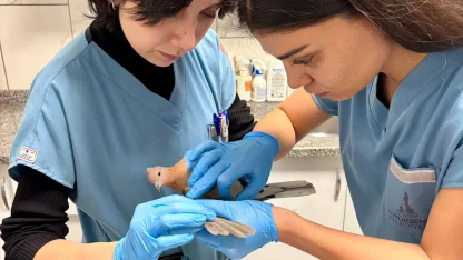 İzmir’de umudu büyüten görüntüler... Yaralı güvercin şifa buldu