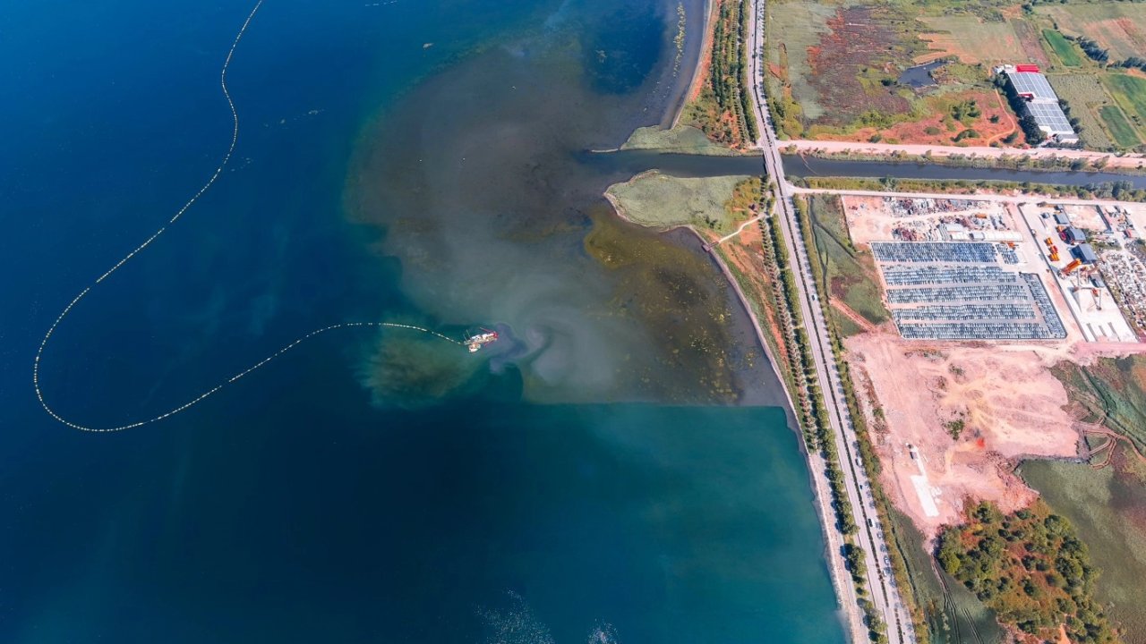 İzmit Körfezi'nde deniz temizleniyor, ekosistem güçleniyor