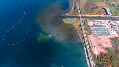 İzmit Körfezi'nde deniz temizleniyor, ekosistem güçleniyor