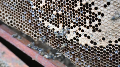 Manisa'da sel mağduru arıcıya destek