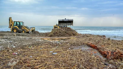 Mersin sahillerinde selin izleri siliniyor