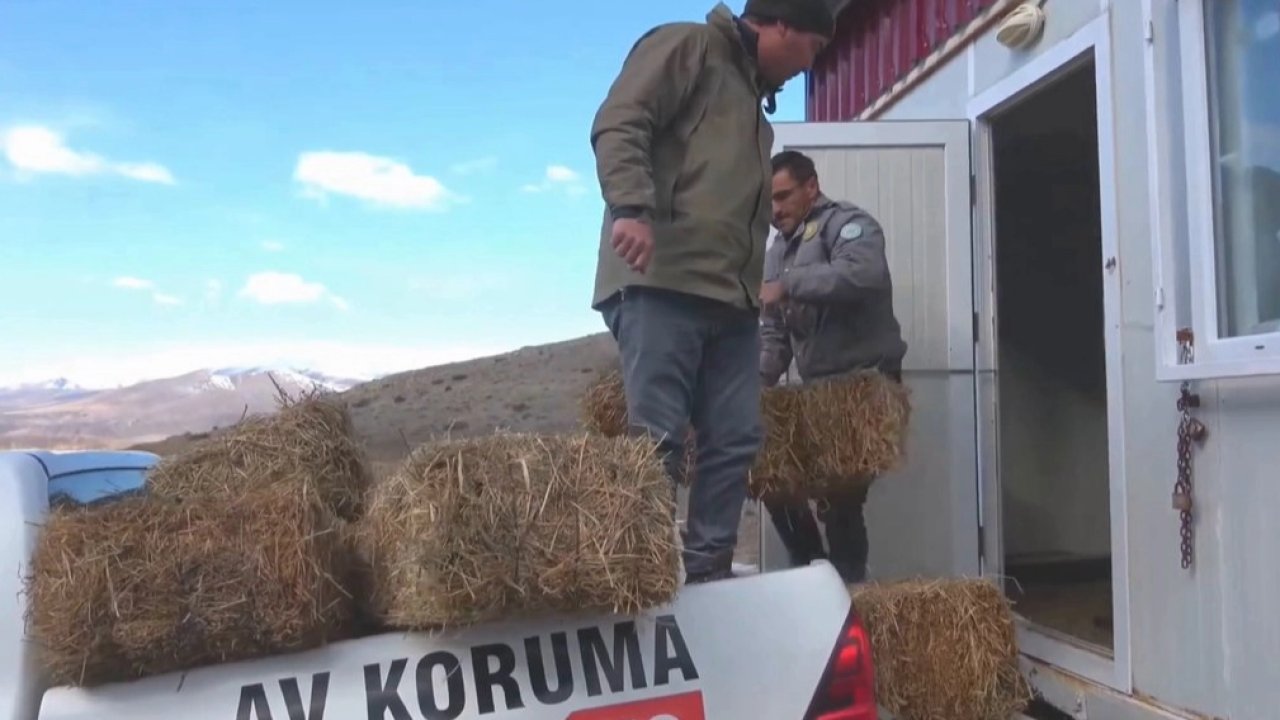 Niğde Demirkazık’ta yaban hayatına kış desteği