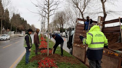 Sakarya'da ‘Yeşil Şehir’ vizyonu sahada