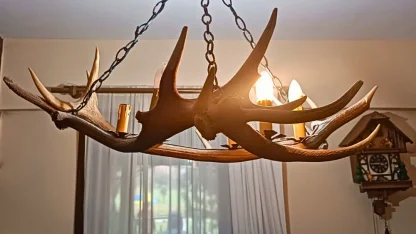 Tekirdağ kaçak tahnit ve trofe operasyonu... 40 parça ele geçirildi