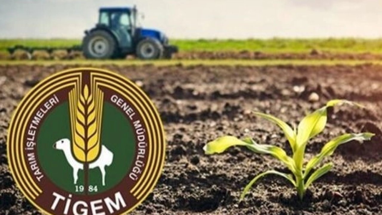 TİGEM Karacabey İşletmesi 98,7 ton kimyevi gübre alacak