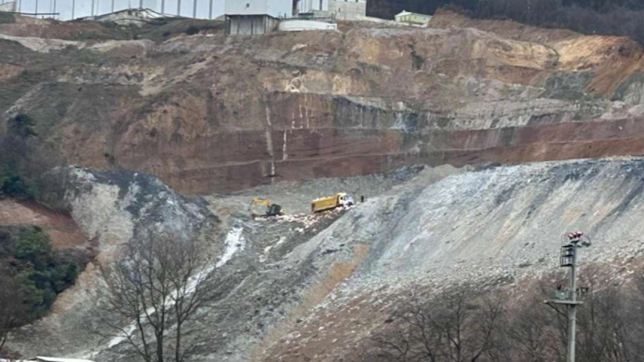 TMMOB Çevre Mühendisleri Odası’ndan Bursa'daki çevre felaketi için soruşturma talebi